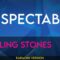 Respectable – Rolling Stones (KARAOKE)