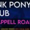 Pink Pony Club – Chappell Roan (KARAOKE WITH VOCAL GUIDE)